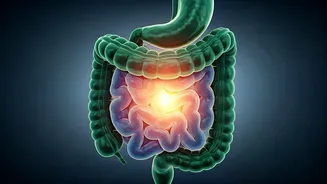 Related Stories banner