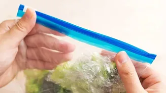 When Should You Stop Reheating Leftovers During Rainy Season?