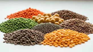 Indian Plates Can Add Fibre Without Fuss