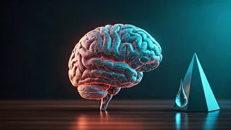 Unlock Your Brain's Potential: 5 Psychology-Backed Habits for Success