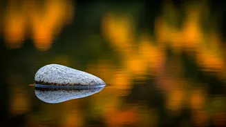 Breaking the Trend Cycle: Finding Peace in a Fast World