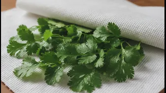 The Paper Towel Fix: How To Dry Fresh Coriander To Maintain Perfect Fritter Crunch