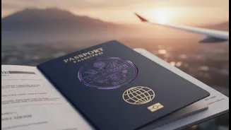 Visa approval remains subject to official rules: a key limit for Saudi Arabia's Package Visa