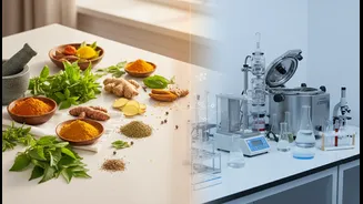 Monsoon Wellness Habits Blend Traditional Ingredients With Modern Food Safety Advice