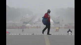 Delhi Shivers In Season's First Cold Wave, Minimum Temperature Plunges To 6.1°