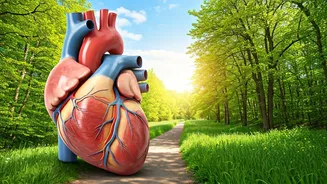 Daily 10 KM Run: 84 Days Body Transformation!