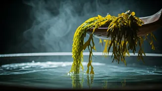 Dive into Tranquility: Discover the Ancient Art of Seaweed Bathing