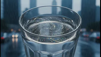 Microplastics In Urban Drinking Supplies: How Heavy Rain Triggers Dangerous Surface Runoff Spills