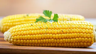 10 Smart Ways to Savor Sweet Corn: An Evening Snack Delight
