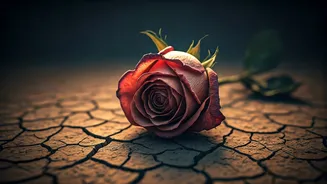 Related Stories banner