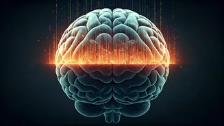 Mental Wellness: Recognizing Overload and Seeking Support