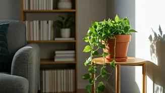 Small Homes Need Greenery Without Plant Drama
