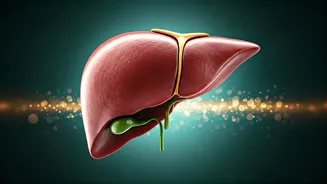 Debunking Liver Myths: Separating Fact from Viral Fiction on Health Cues