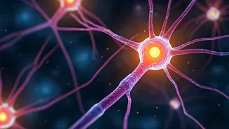 New Alzheimer's Breakthrough: Early Intervention!