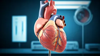 Heart Health: Reduce Risks After Age 30.