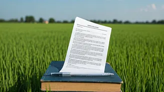 From Village Fields to Civil Services: A Success Story