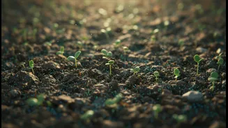 Microbes Could Help Revive Challenging Farmland