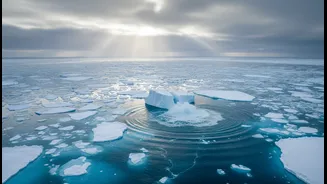 Sea Ice Loss Makes Warming Less Abstract