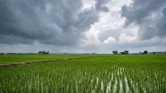India's Food Inflation Watch: Could September Rainfall Add Pressure To Prices?