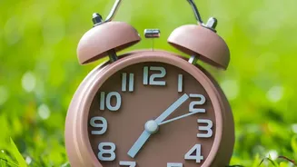 How Outdoor Sunlight Exposure Every Morning Supports Optimal Internal Clock Functions Easily