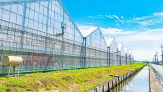 Solar Irrigation Infrastructure Helps Maharashtra Smallholders Grow Crops Profitably
