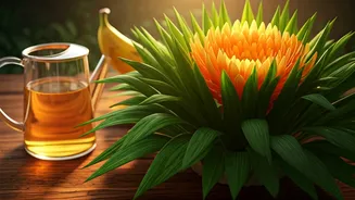 Organic Banana Peel Liquid Fertilizer Sparks Massive Flower Growth