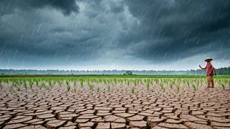 Uneven Rain Adds Pressure To Family Budgets