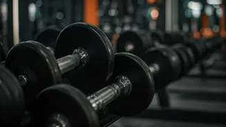 Daily Workout: Transform Your Health