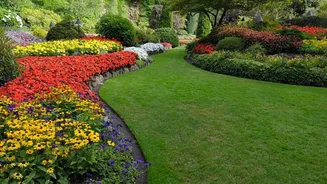 How AI tools are transforming landscape design