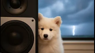 Why early childhood socialization prevents severe noise anxiety development in young dogs