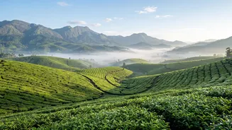 Monsoon Withdrawal And September Travel: What Changes Could Come Next