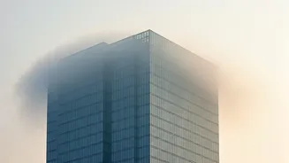 Delhi's Smog: A Tourist's Perspective on Air Quality