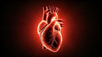 Yoga for Enhanced Circulation & Energy