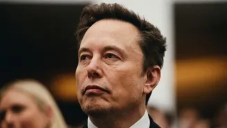 Elon Musk donates over $445 million including $77 million to America PAC