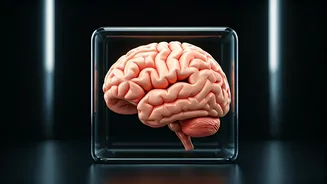 Brain Power: Peak Performance & Aging Insights
