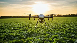 Drone Innovation Transforms Indian Agriculture: Empowering 50,000 Farmers with Precision Insights