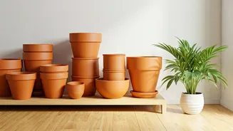 Why Urban Renters Choose Clay Pots For Budget Decorating