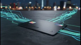 Gen Z Credit Cards: the facts, practical impact and remaining questions