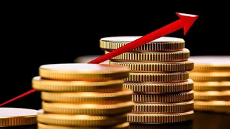 India's Private Credit Market: The Beginner's Guide To Understanding It