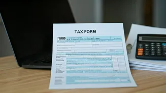 July Taxes Have Entered Freelancer Life