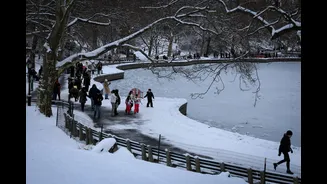 Thousands of flights cancelled as major winter storm moves across the US