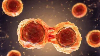 Cancer cases rising faster among people under 50: Study