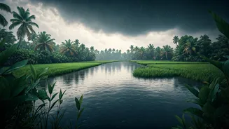 Kerala Backwaters Offer Surreal Moody Vibe During Peak Monsoon