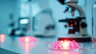 Unveiling India's RDI Fund: A New Financial Approach