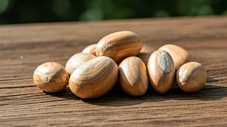 Jackfruit Seeds Add Texture To Simple Food