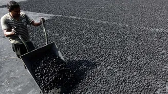 Coal India Q2 Results: Shares fall after earnings miss estimates on most fronts