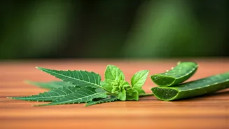 Natural Skincare: Unveiling Radiant & Healthy Skin