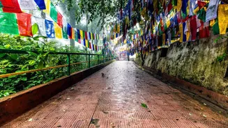 These Indian hill stations aren't as great as projected