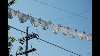 Produtos para você lavar suas calcinhas e cuidar da sua saúde íntima