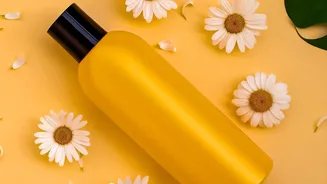 Monsoon Hair Routine: Better Ways To Handle Wet And Damp Hair